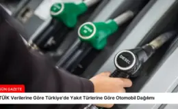 TÜİK Verilerine Göre Türkiye’de Yakıt Türlerine Göre Otomobil Dağılımı