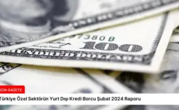 Türkiye Özel Sektörün Yurt Dışı Kredi Borcu Şubat 2024 Raporu