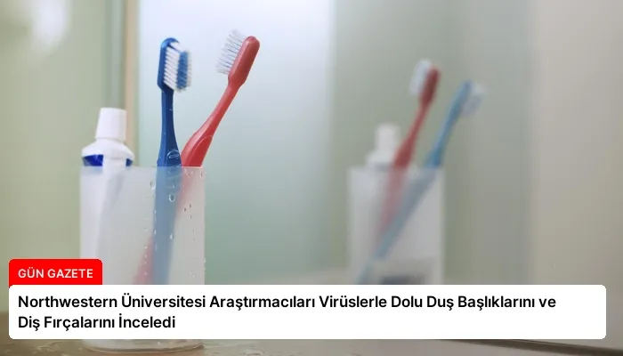 Northwestern Üniversitesi Araştırmacıları Virüslerle Dolu Duş Başlıklarını ve Diş Fırçalarını İnceledi