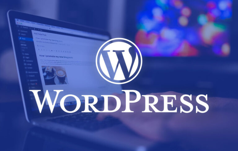 WordPress Web Tasarım Konusunda Ajans İle Çalışmanın Önemi
