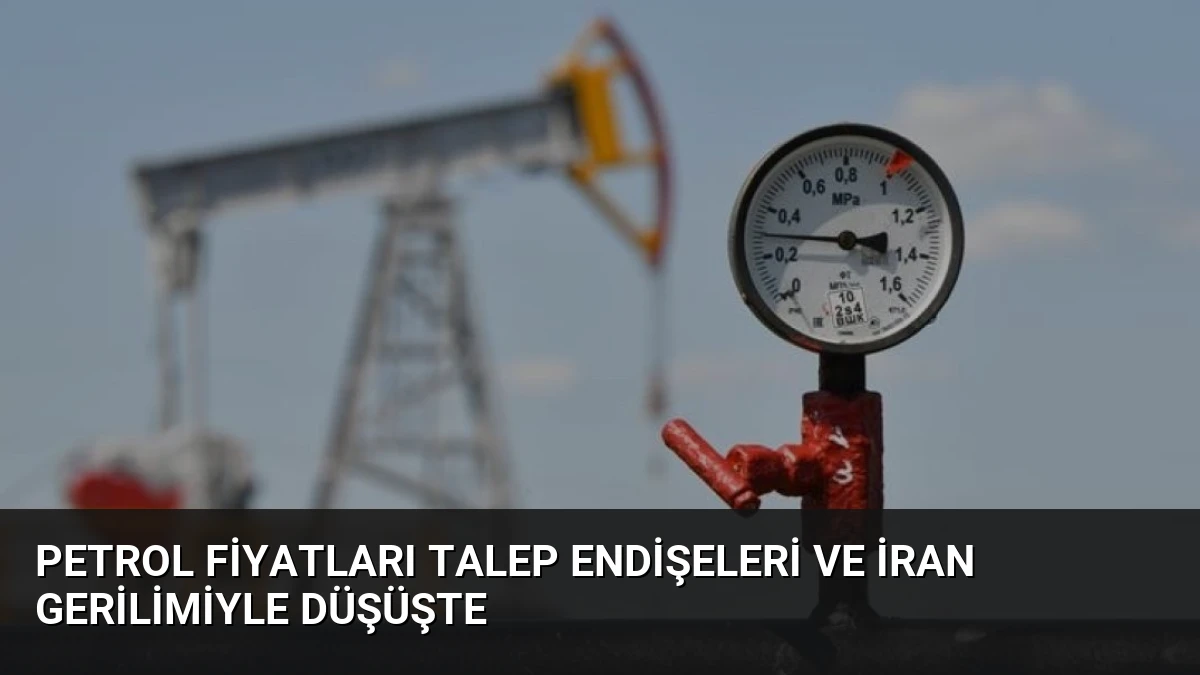 Petrol Fiyatları Talep Endişeleri ve İran Gerilimiyle Düşüşte