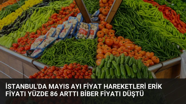 İstanbul’da Mayıs Ayı Fiyat Hareketleri Erik Fiyatı Yüzde 86 Arttı Biber Fiyatı Düştü
