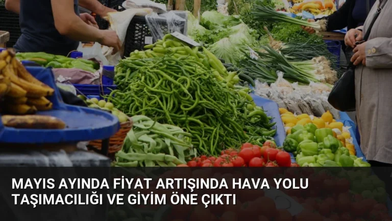 Mayıs Ayında Fiyat Artışında Hava Yolu Taşımacılığı ve Giyim Öne Çıktı