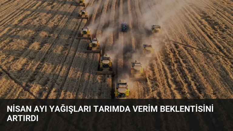 Nisan Ayı Yağışları Tarımda Verim Beklentisini Artırdı