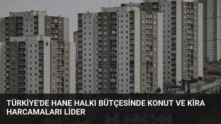 Türkiye’de Hane Halkı Bütçesinde Konut ve Kira Harcamaları Lider