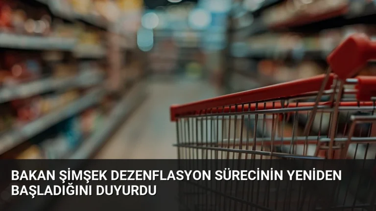 Bakan Şimşek Dezenflasyon Sürecinin Yeniden Başladığını Duyurdu