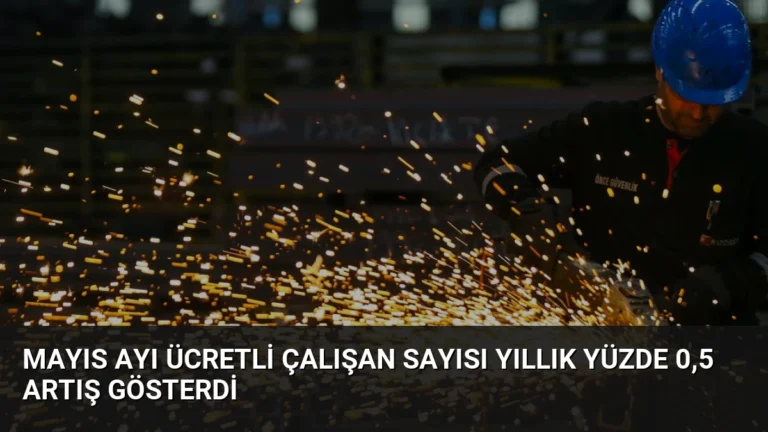 Mayıs Ayı Ücretli Çalışan Sayısı Yıllık Yüzde 0,5 Artış Gösterdi