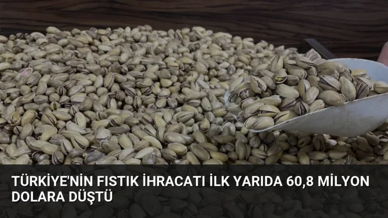 Türkiye’nin Fıstık İhracatı İlk Yarıda 60,8 Milyon Dolara Düştü