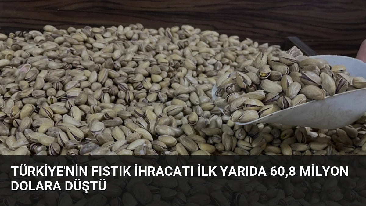 Türkiye’nin Fıstık İhracatı İlk Yarıda 60,8 Milyon Dolara Düştü