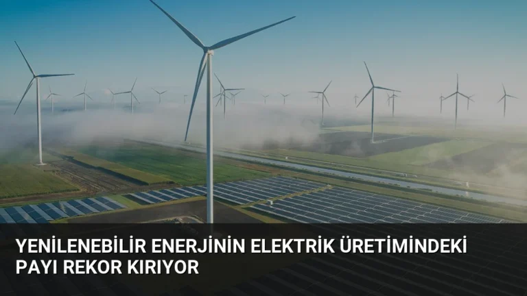 Yenilenebilir Enerjinin Elektrik Üretimindeki Payı Rekor Kırıyor