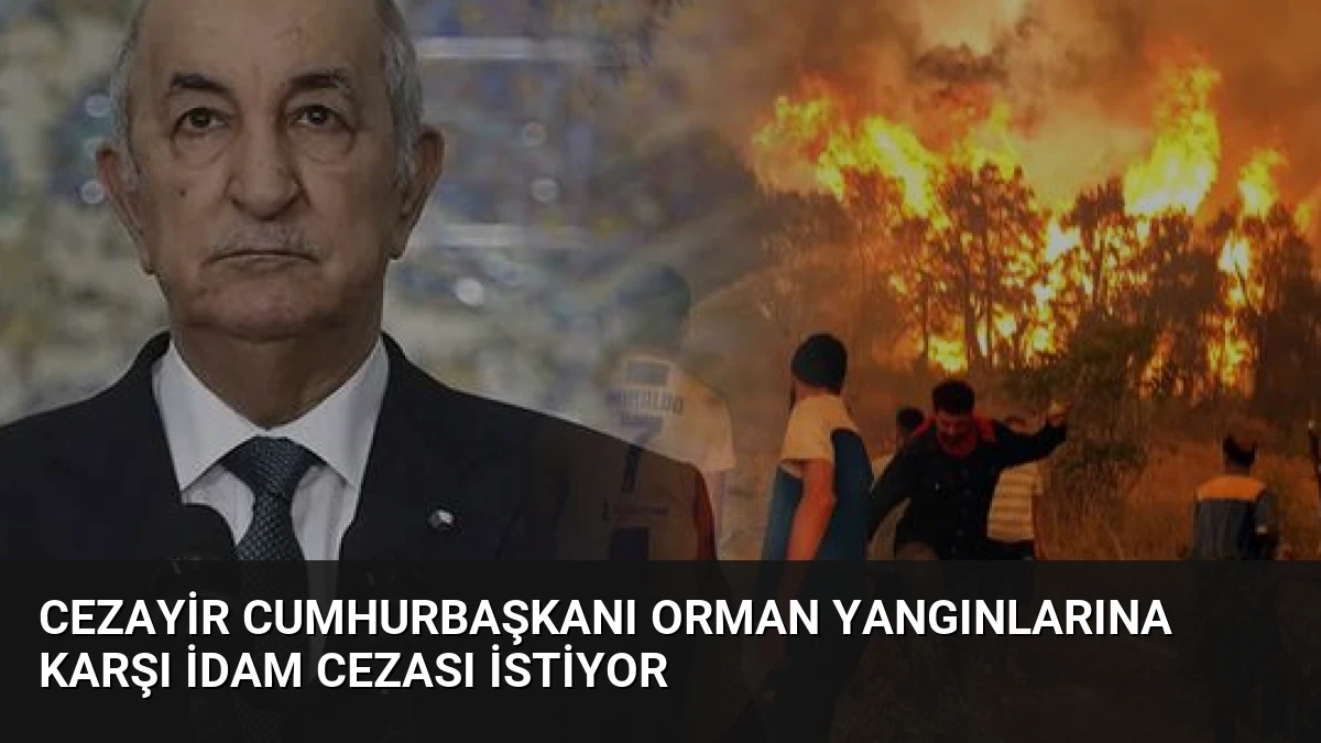 Cezayir Cumhurbaşkanı Orman Yangınlarına Karşı İdam Cezası İstiyor