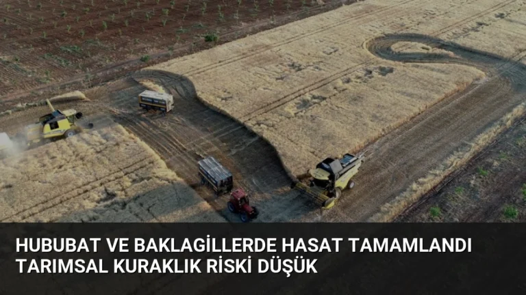 Hububat ve Baklagillerde Hasat Tamamlandı Tarımsal Kuraklık Riski Düşük