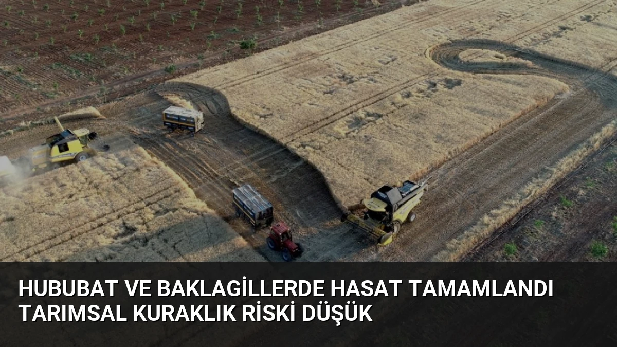 Hububat ve Baklagillerde Hasat Tamamlandı Tarımsal Kuraklık Riski Düşük