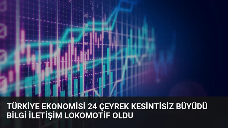 Türkiye Ekonomisi 24 Çeyrek Kesintisiz Büyüdü Bilgi İletişim Lokomotif Oldu