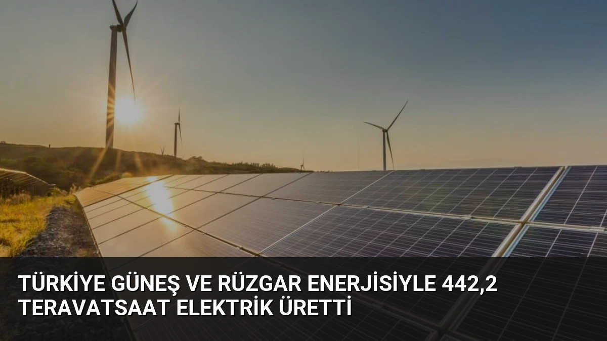 Türkiye Güneş ve Rüzgar Enerjisiyle 442,2 Teravatsaat Elektrik Üretti