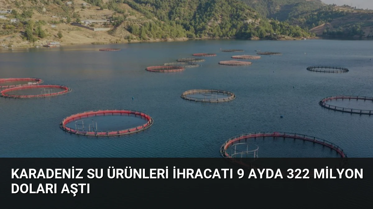 Karadeniz Su Ürünleri İhracatı 9 Ayda 322 Milyon Doları Aştı